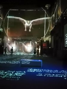 Da Vinci Experience