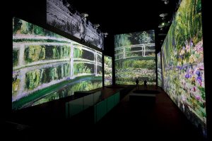 Monet Experience