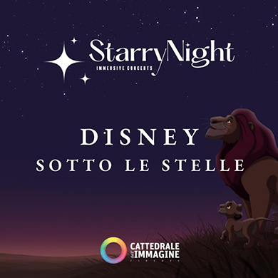 Starry Night Disney Sotto le Stelle